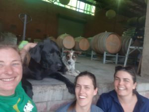 2019 - Assistant Winemaker Meg Wallace joins the team
