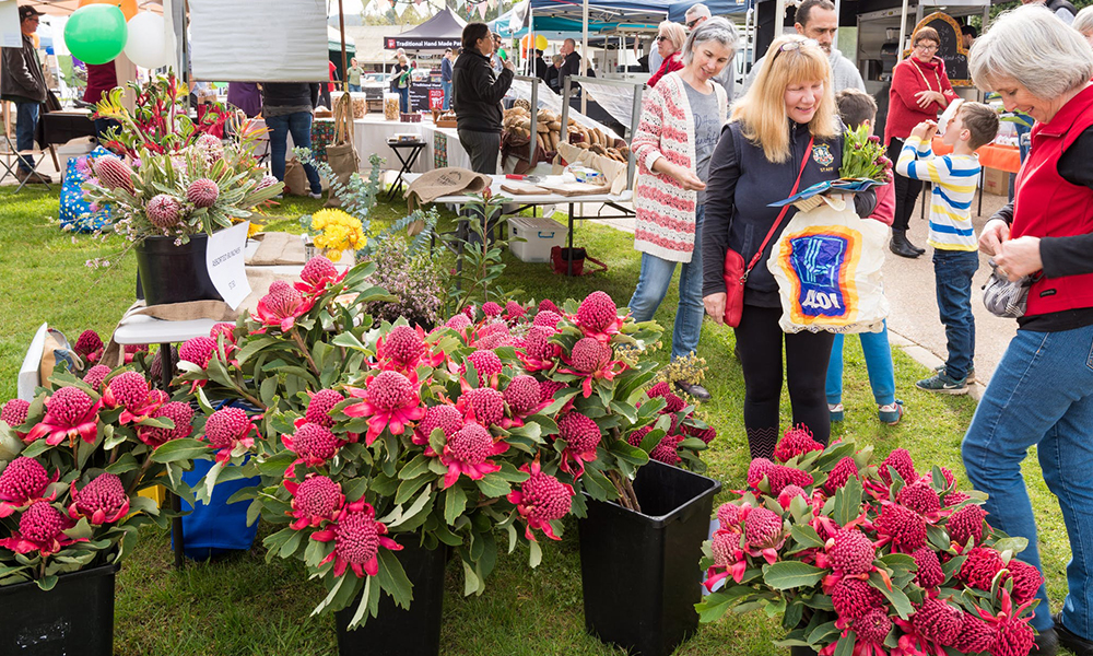 Flower stall at Myrtleford markets 