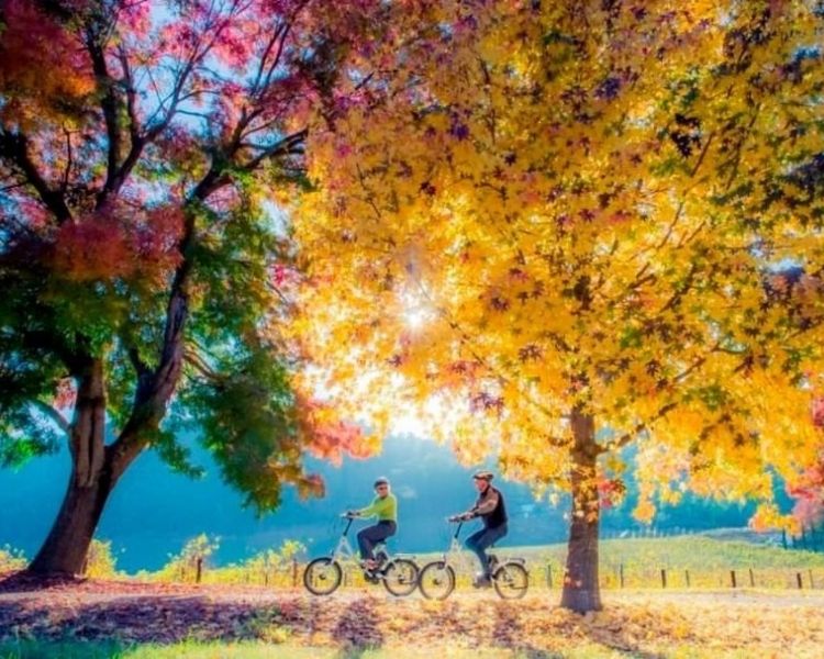 Bike Ride with Autumn Leaves