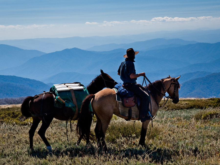 Two horses overlooking the Mountains of Victoria 