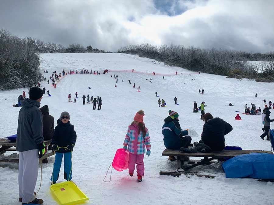 Families tobogganing on the ski slopes