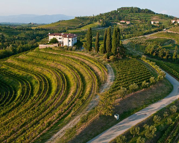 Vineyards overlooking Romandolo DOCG home to Verduzzo
