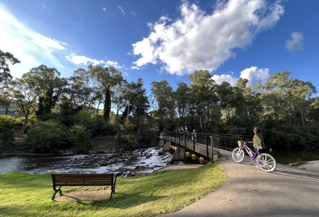 Cycling across the Ovens River at Bright Centenary Park